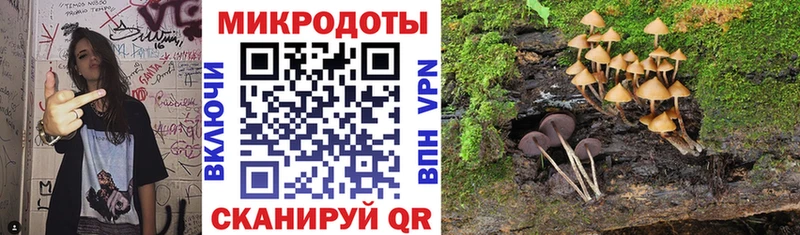 Галлюциногенные грибы мухоморы  Заозёрный 
